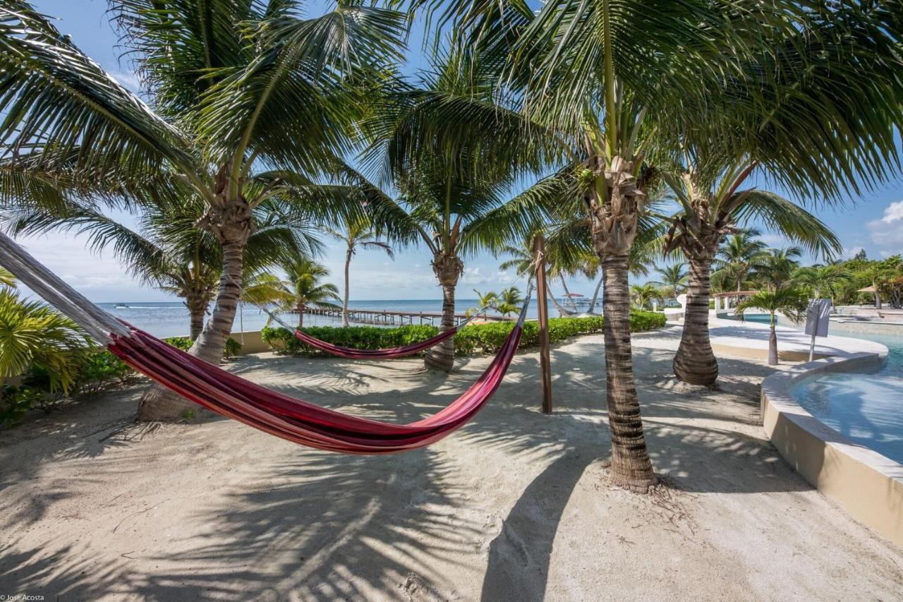 Belizean Cove Estates Luxury Beachfront Villa San Pedro  Eksteriør billede